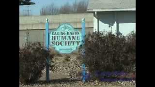 Caring Hands Humane Society - Special Volunteers