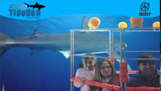 DIA 3 Expo Tiburon36