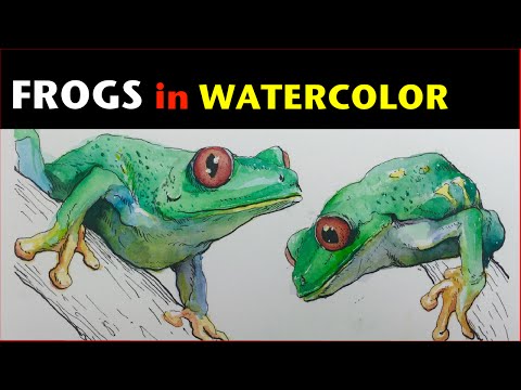 Ink Watercolor Study | Red eyed tree frog
