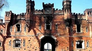Оборона Бреста.По обе стороны победы. Первые месяцы войны.