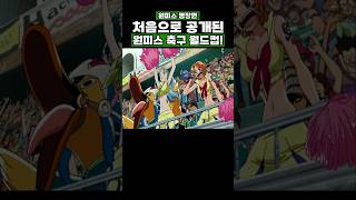 원피스) 처음으로 공개된 원피스 축구 월드컵! #onepiece #원피스