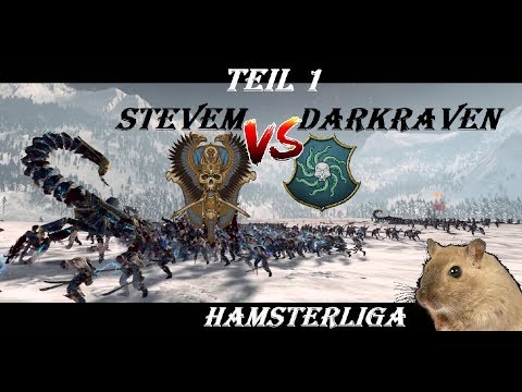 SteveM vs DarkRaven Teil 1 - Hamsterliga - [Runde #3]