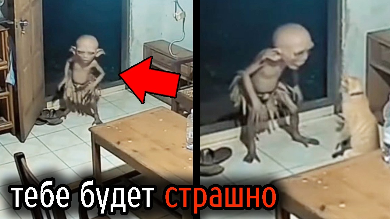 Самые Ужасные Видео со Всего Мира #120