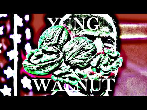 yung walnut - john mccain