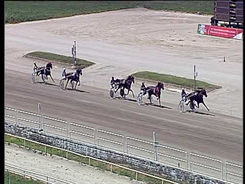 Trotto 13/06/2019 - 2ª prova di qualifica