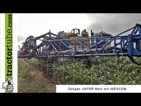 Düngen UNTER Mais mit LU Westerveld