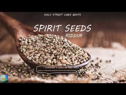 --- Only Vibes Beats Reggae Beat Instrumental - Spirit Seeds Riddim - Only Street Vibes Beats