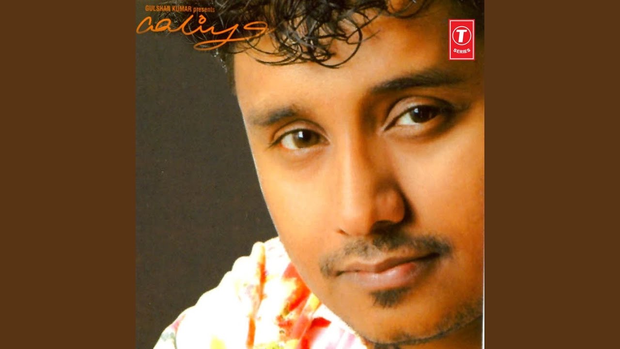 Too Fast Lyrics | Aaliya | Manu Rajeev | Manu Rajeev