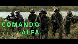 Exército Brasileiro. Em ação