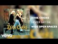 The Chicks - Never Say Die (Official Audio)