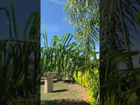 Praça em condomínio de Jaboticatubas Minas Gerais Brasil .#condominiofechado #jaboticatubas  #praça