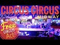 Circus Circus Las Vegas Midway Free Show Uzeyer Novruzov Ladder Man