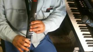 【EWI】恋をする（中島美嘉）