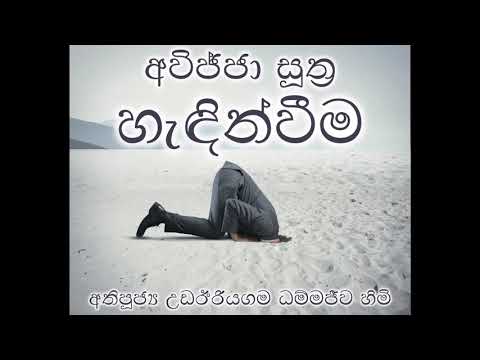 1 - අවිජ්ජා සූත්‍ර1 දේශනා මාලාව 1 , 2 - හැඳින්වීම - උඩඊරියගම ධම්මජීව හිමි (Avijja/Avidya sutta)