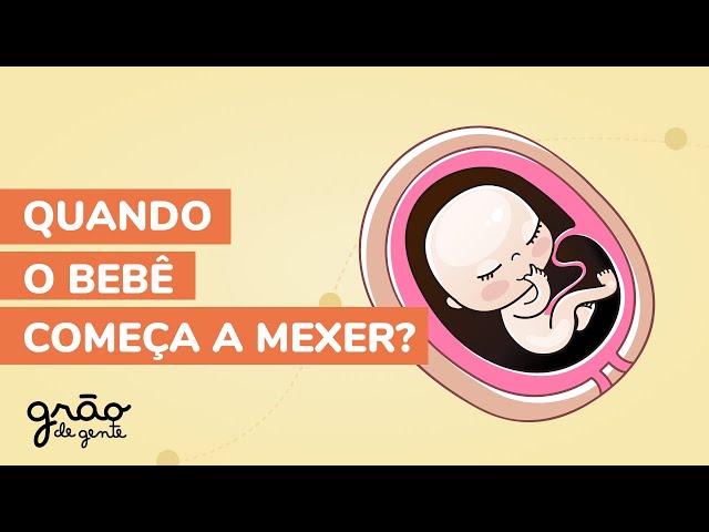 QUANDO O BEBÊ COMEÇA A MEXER? VEJA O MELHOR VÍDEO EXPLICATIVO