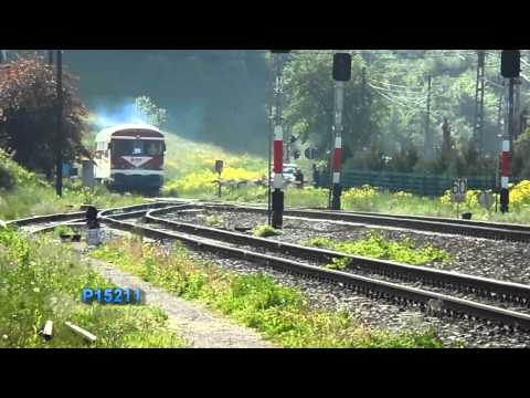 Trenuri in Judetul Bihor Vol.9 - Trains in Bihor County Vol.9