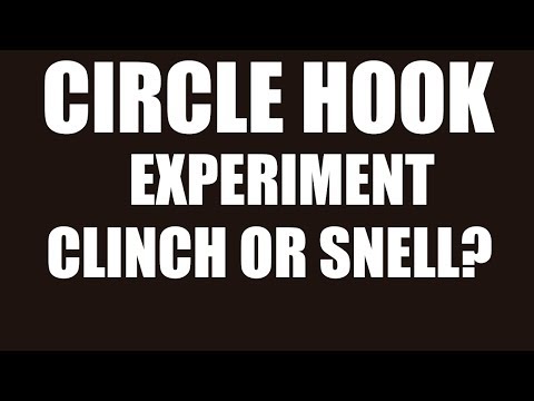 Experiment,  What is The Best Knot For Circle Hooks, Snell or Clinch?