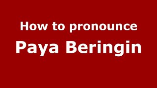 How to pronounce Paya Beringin