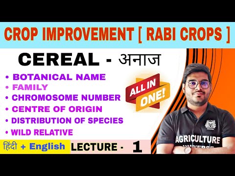 Crop Improvement rabi crops syllabus analysis bsc av 6th semester