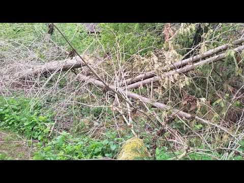 Schnäppchenhaus 65, Renovierung, Gartengestaltung, Gartenarbeiten, Hanggarten