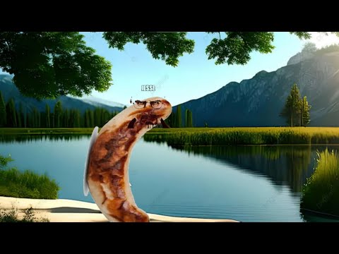 Wurst und Ordnung [W.u.O.)