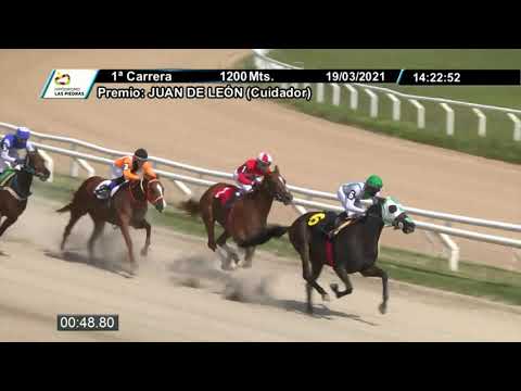 210319 c01 -  LEOPARDA LINA - HIPODROMO LAS PIEDRAS