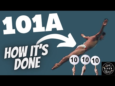 How To Do A Front Dive Straight | 101A