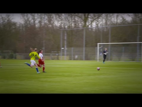 Samenvatting DSVP VR1 - VV Barendrecht VR2