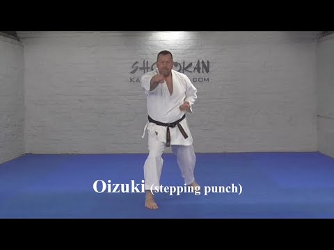 Oizuki Stepping Punch