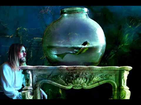 Potera - N'Rrugen Tem