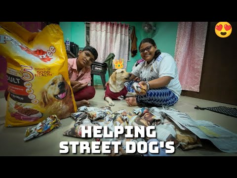Helping 30 Street Dog's, On my Dog Birthday..