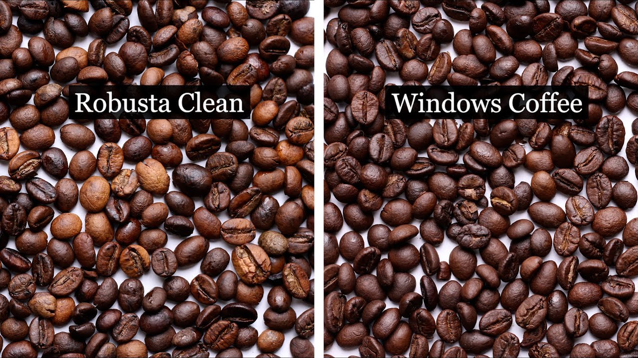 Vì sao nên chọn cà phê nguyên chất Windows Coffee?
