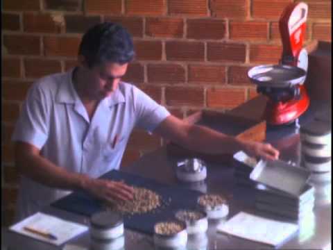 A Indústria do Solúvel