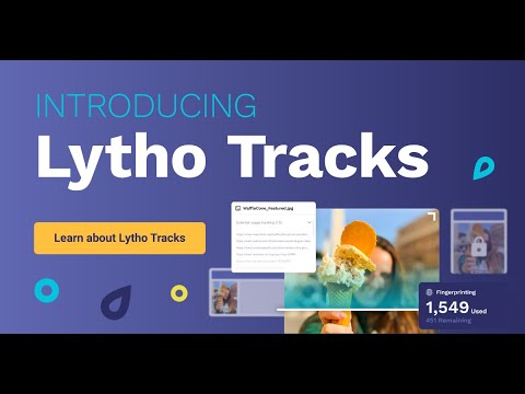 Lytho Product Spotlight: Introducing Lytho Tracks!