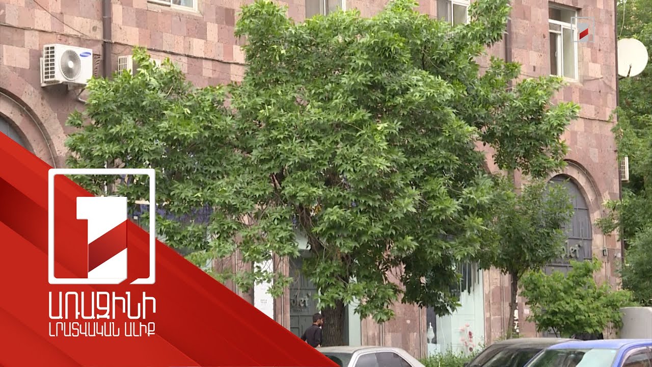 Երևանի կանաչապատման խնդիրներն ու դրանց կարգավորման ուղին