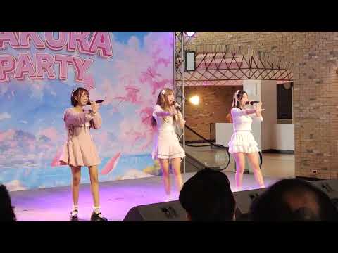 20240323 SUMOMO 「すもも」 - Haretoke! Appare! Japanese! (ハレとケ！あっぱれ！ジャパニーズ！), Sakura Party