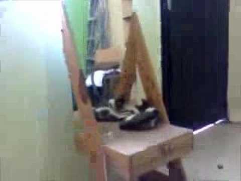 Siber esta muy ocupado