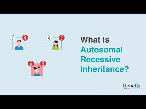 What is Autosomal Recessive Inheritance?