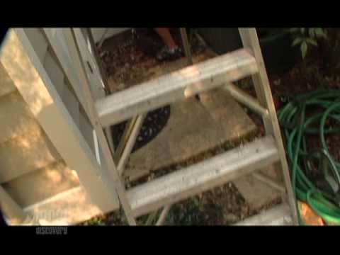 Certi Pro Painters