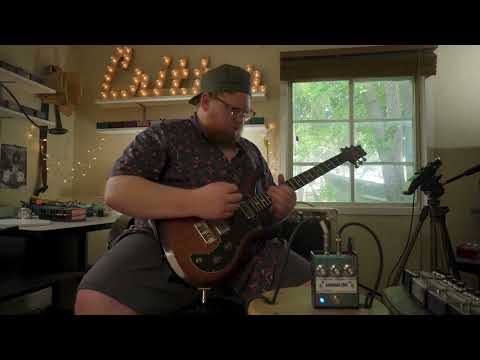 Critter - AMERICAN FUZZ (Modded Big Muff) image 8