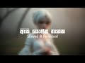 Asa Yomana Thanaka ඇස යොමන තැනක Slowed Reverbed
