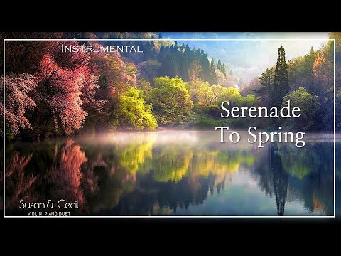 [1Hour] Serenade To Spring (Rolf Løvland) 春のセレナーデ POP Piano/Violin Cover - Extended
