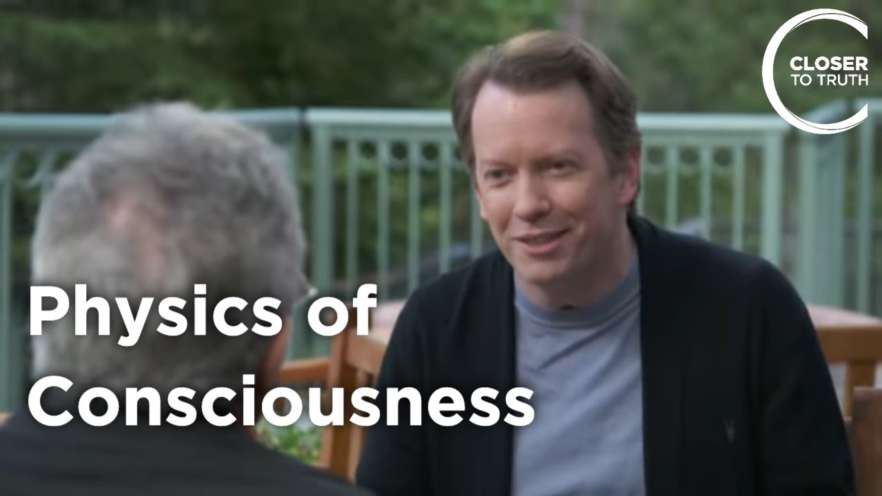 Sean Carroll - Physics of Consciousness