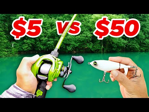 $5 vs $50 Budget Fishing Challenge (Walmart)