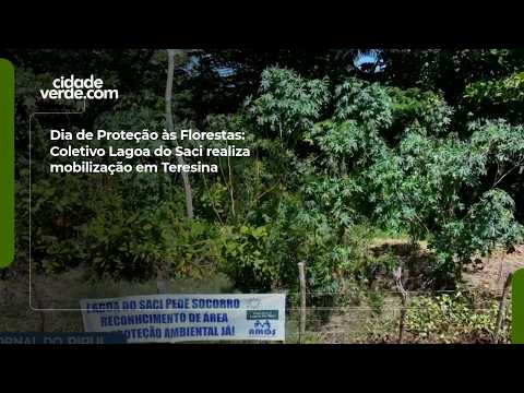 Dia de Proteção às Florestas: Coletivo Lagoa do Saci realiza mobilização em Teresina