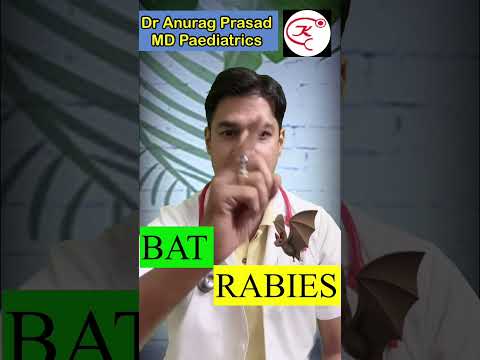 Bat & Rabies Vaccine By Dr Anurag Prasad | Rabies due to bat bite #shorts
