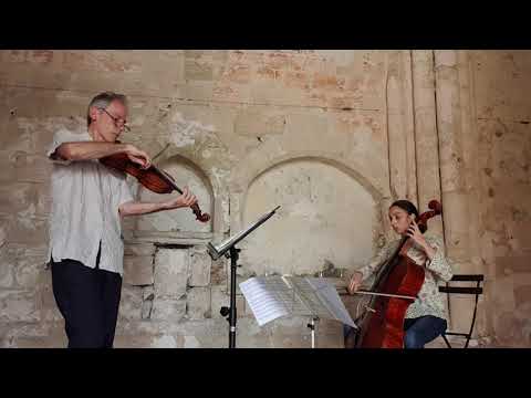 Pocket Concerto by Garth Knox (complete)