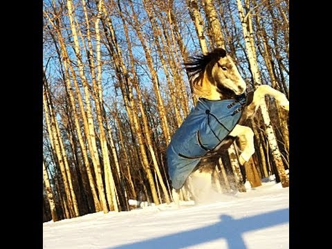 You're My Sweetheart