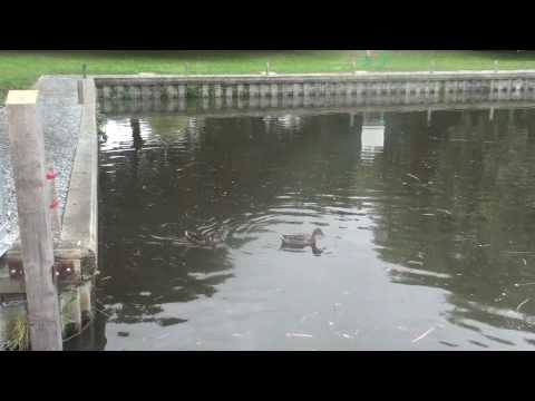 Tim and Patrick Hughes