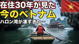 【前編】カンボジアを飛び出しハロン湾へ!30年住み慣れた東南アジアとは違う感動があった【ベトナム紀行ハロン湾】